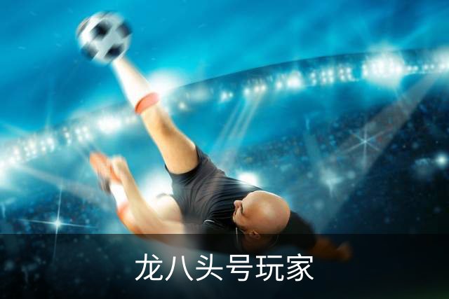 龙八头号玩家